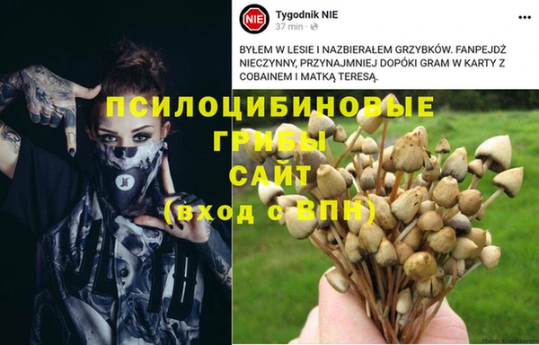 молекула духа Алексин