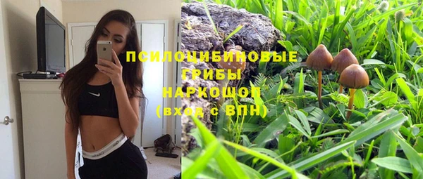 спайс Алзамай