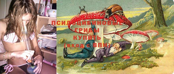 молекула духа Алексин