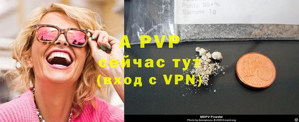 молекула духа Алексин