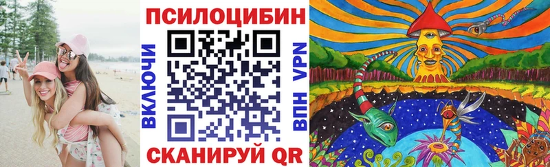 купить наркоту  Яровое  Галлюциногенные грибы GOLDEN TEACHER 
